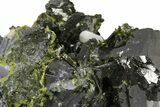 Lustrous Epidote Crystals with Actinolite - Pakistan #290478-1